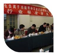 2006年3月10日，“產(chǎn)生負離子功能粉體及相關(guān)建材制品測試方法”行業(yè)標準審查會在北京召開。